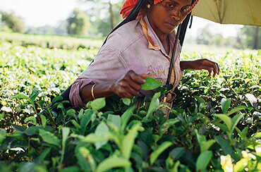 农业大数据应用